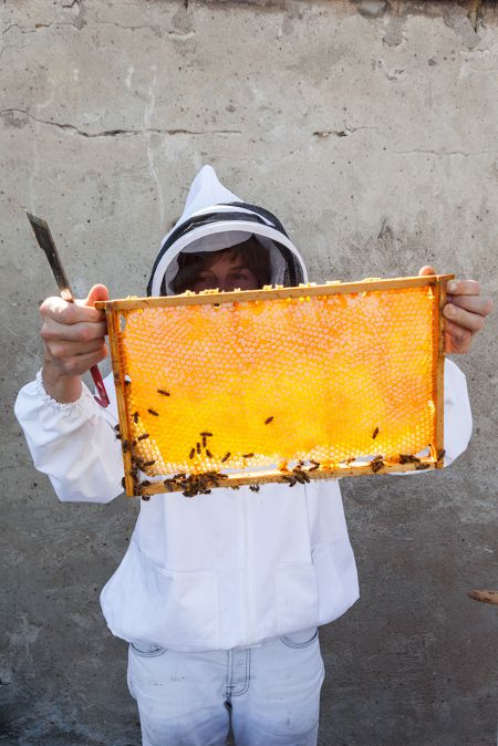 Urban Beekeeping